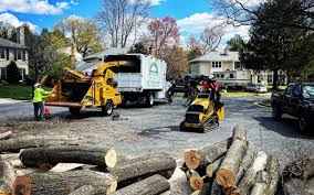 Best Commercial Tree Services  in Midlothian, TX